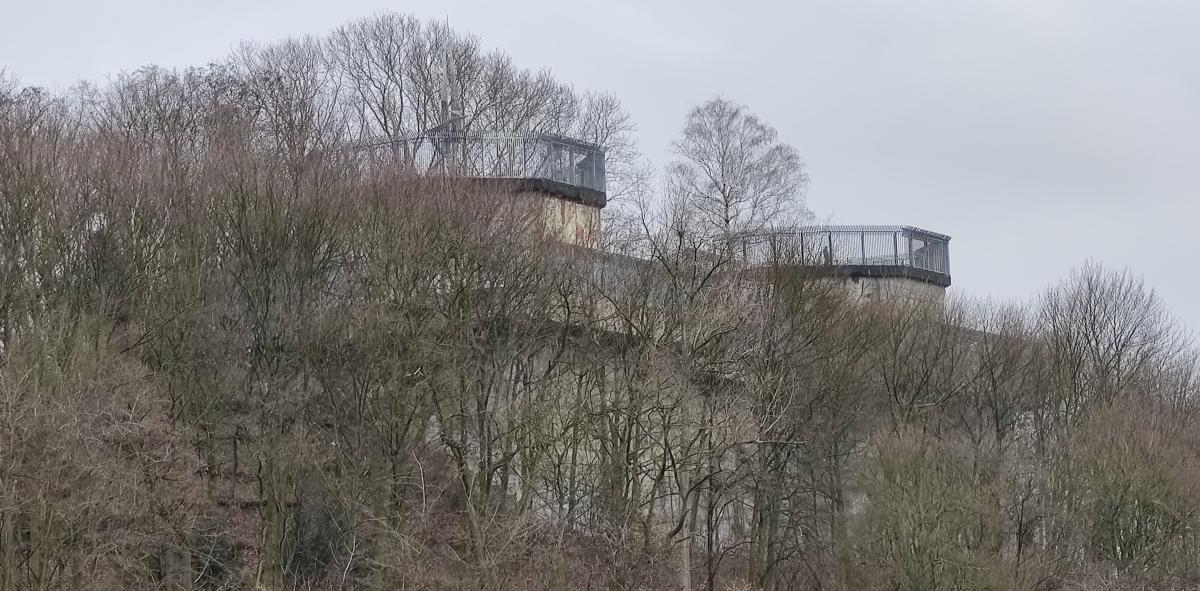 IMG_20200309_122917 (2).jpg